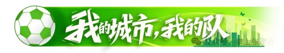 化共生之花, 株洲将车牌 化共生之花, 株洲将车牌
