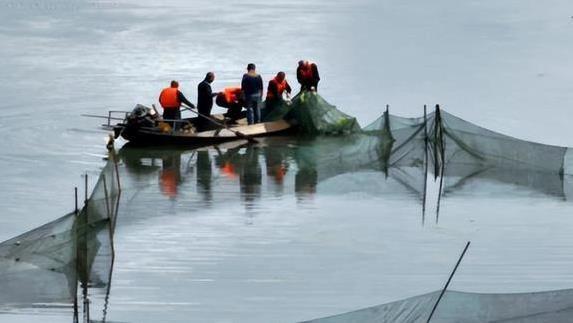 鱼儿游进去, 说后
