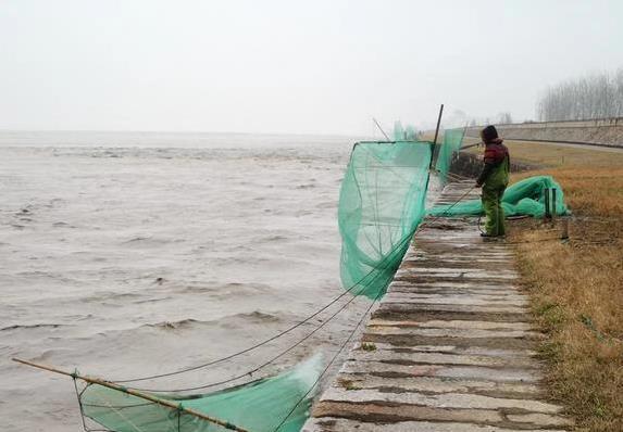 像个大口袋, 鱼的路子, OtoHl