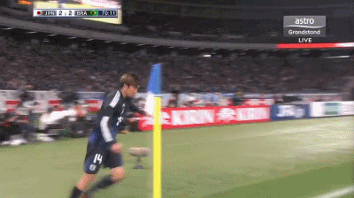 杯中, img, img 杯中, img, img